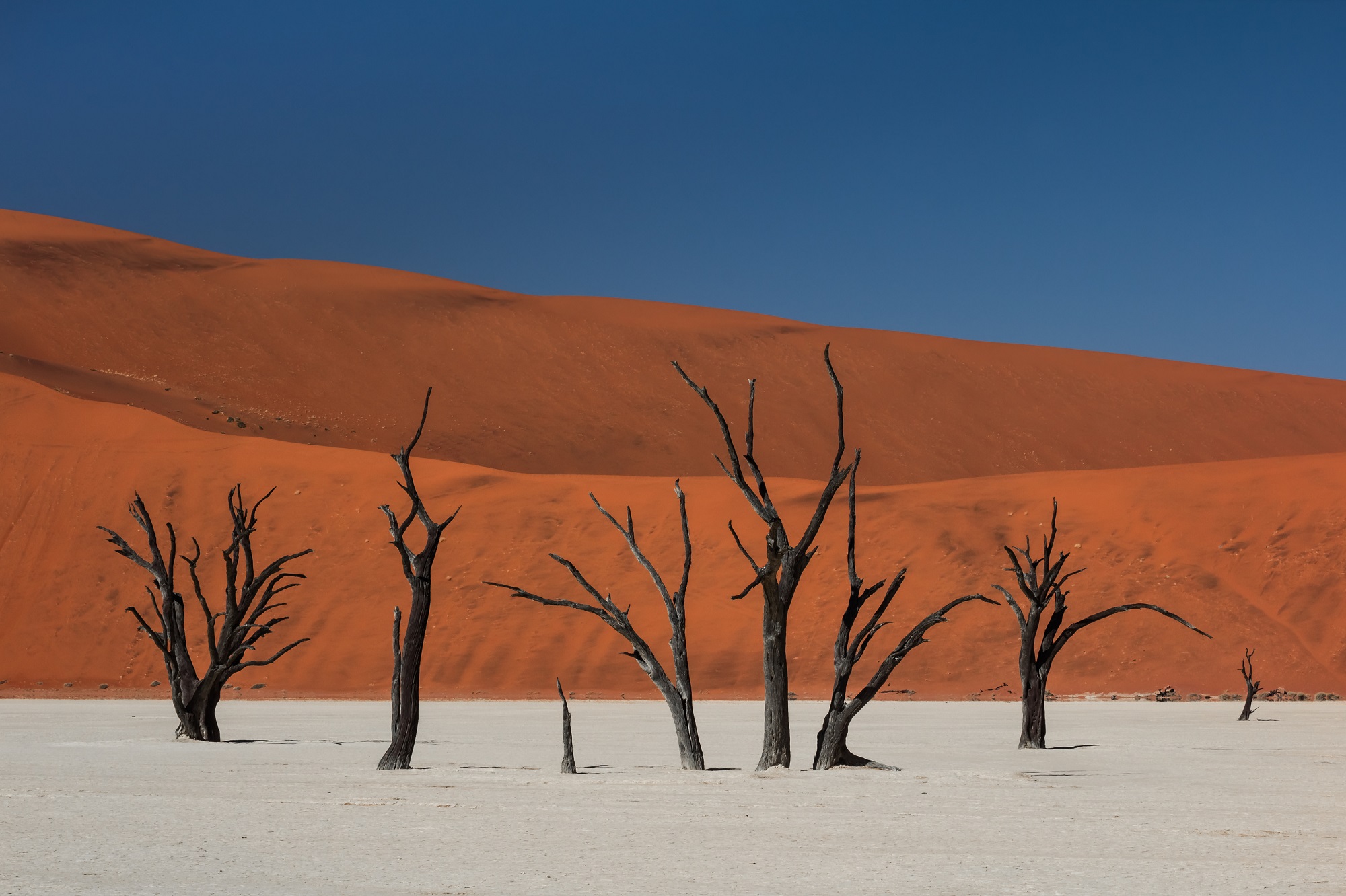 Paysages désert Namibie